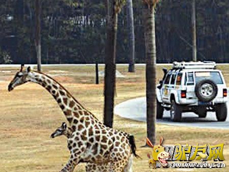 驴友.jpg