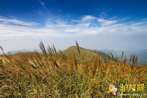 东莞白云嶂 (6).jpg