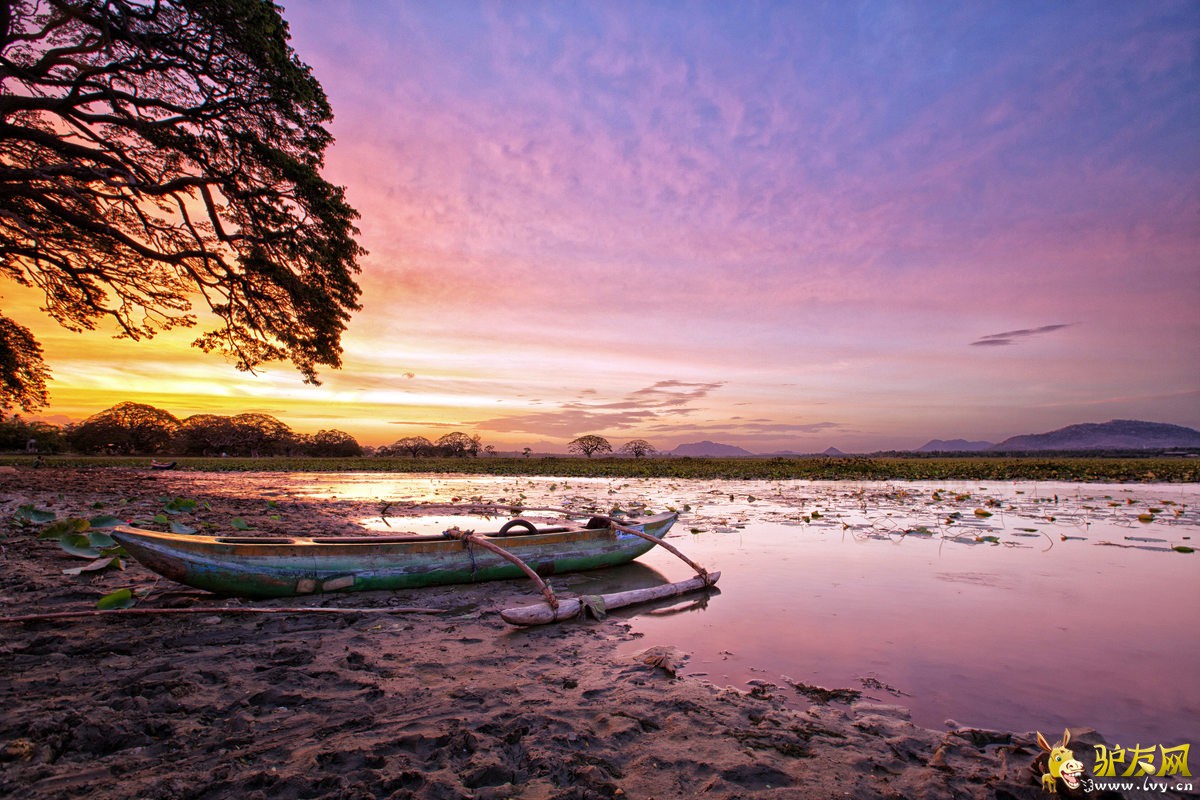 蒂瑟湖 sunset.jpg