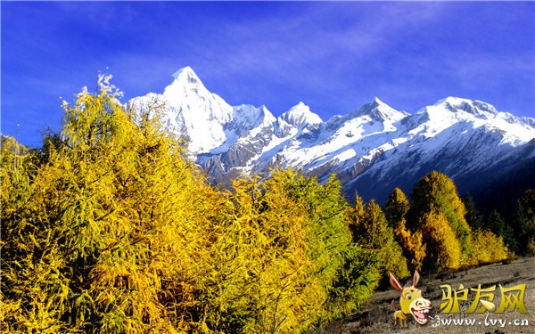 四姑娘山风景2.jpg
